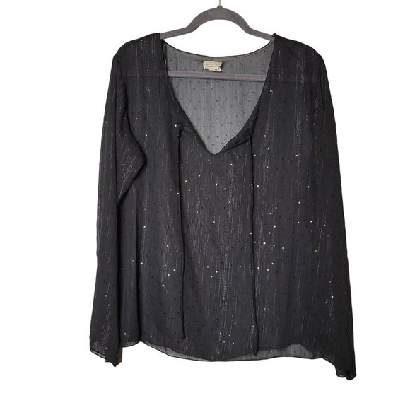 Vintage Y2K Women's 1X Sheer Whimsygoth Witchy Fairy Grunge Sheer Flowy Blouse B - Picture 1 of 6